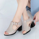 Calzado Elegante Aurora